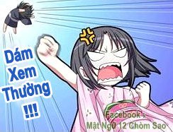 稿稿平台APP怎么2026最新版